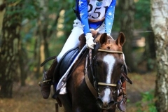 Eventing (102)