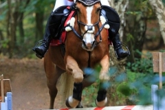 Eventing (104)