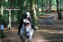 Eventing (56)