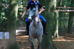 Eventing (62)