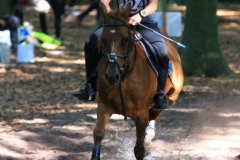 Eventing (64)