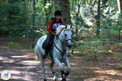 Eventing (82)