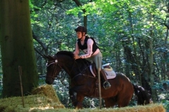 Eventing (85)