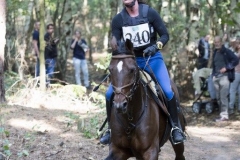 Eventing (123)