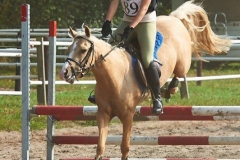 Eventing (157)