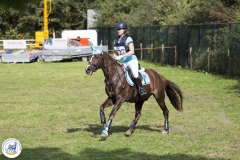 Eventing (78)