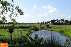 Fiets-zoekt-Boer-44