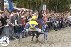Kortebaan (46)
