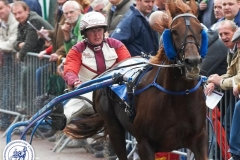 Harddraverij (33)