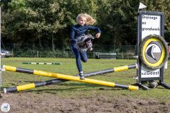 Hobbyhorse wedstrijd-2025