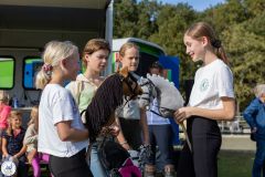 Hobbyhorse-wedstrijd-2025-06