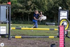 Hobbyhorse-wedstrijd-2025-08