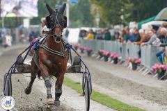 Linden2019-