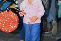 Lampionnenoptocht (4)