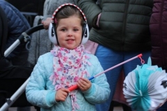 Lampionnenoptocht (90)