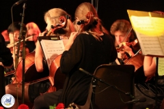 Openingsconcert (20)