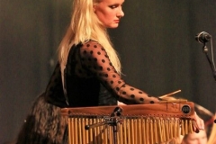 Openingsconcert (47)