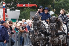 Ringsteken (4)