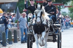 Ringsteken (6)
