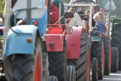 Ringsteken oude tractoren (12)
