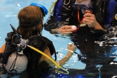 Scubaduiken (17)