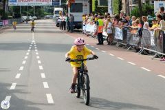 Linden2024-