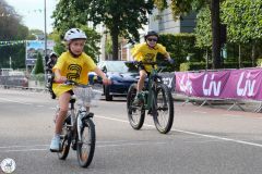 Linden2024-