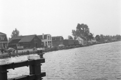Vissen jeugd (10)