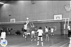 Volleybal (1)