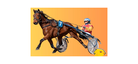 Aandeelhouder worden van 20 paarden voor 100 euro per maand?